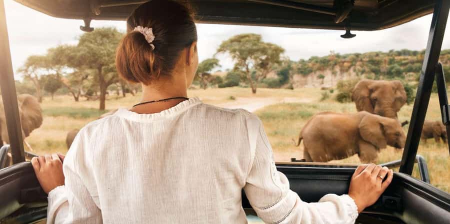 Kruger Park Scheduled Full day Safari Drive from Hoedspruit - Why the early start matters in Kruger