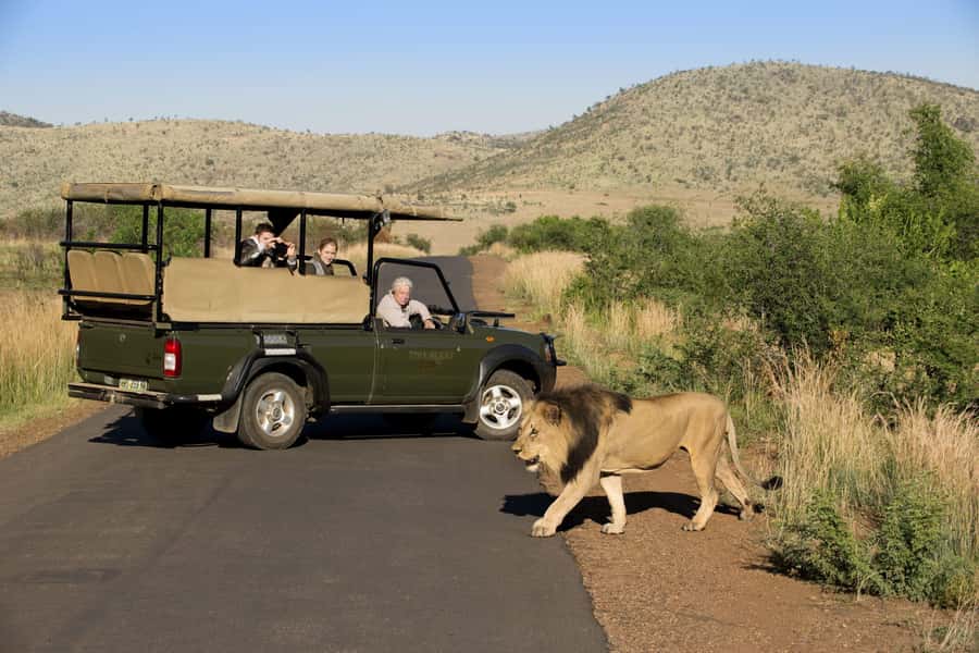 Kruger Park Scheduled Full day Safari Drive from Hoedspruit - The open vehicle advantage