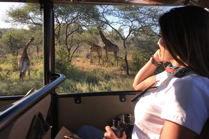Kruger Safari Tour - Full Day - Is $77.64 a fair price?