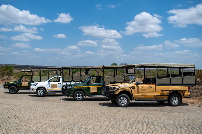 Kruger Safari Tour - Morning Half Day - Why the early Kruger start is worth it