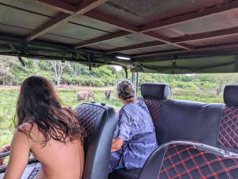 Kumana National Park : Morning or Afternoon Safari Tour - Morning or afternoon: which departure works best?