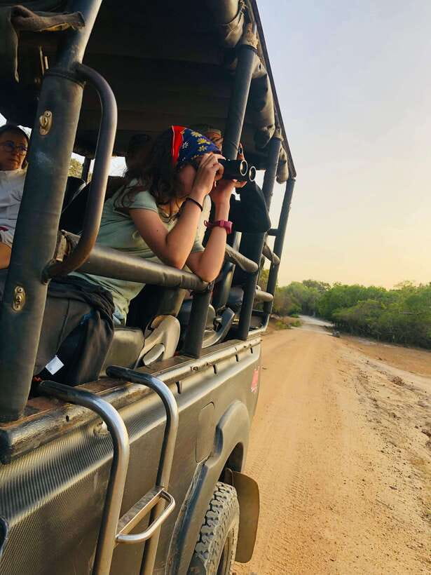 Kumana National Park : Private Half-Day Jeep Safari - What the $87 price includes