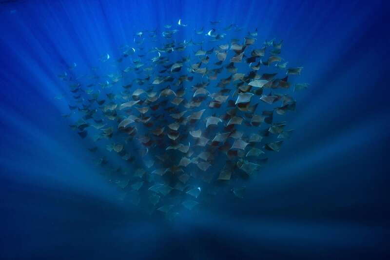 La Paz or La Ventana: Ocean Safari - Is $175 a fair price?
