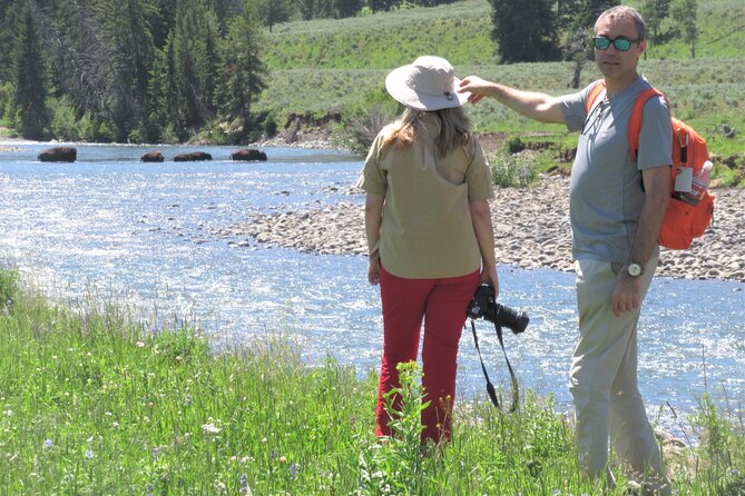 Lamar Valley: Safari Hiking Tour with Lunch - Starting at 8 am with warm drinks and useful gear