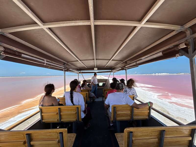 Las Coloradas: Pink Lakes Safari Tour - Key points at a glance