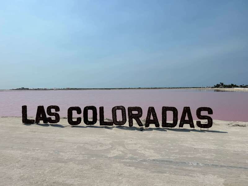 Las Coloradas: Pink Lakes Safari Tour - Who should book this tour