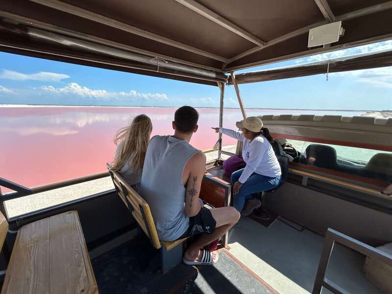 Las Coloradas: Pink Lakes Safari Tour - Why Las Coloradas turns pink