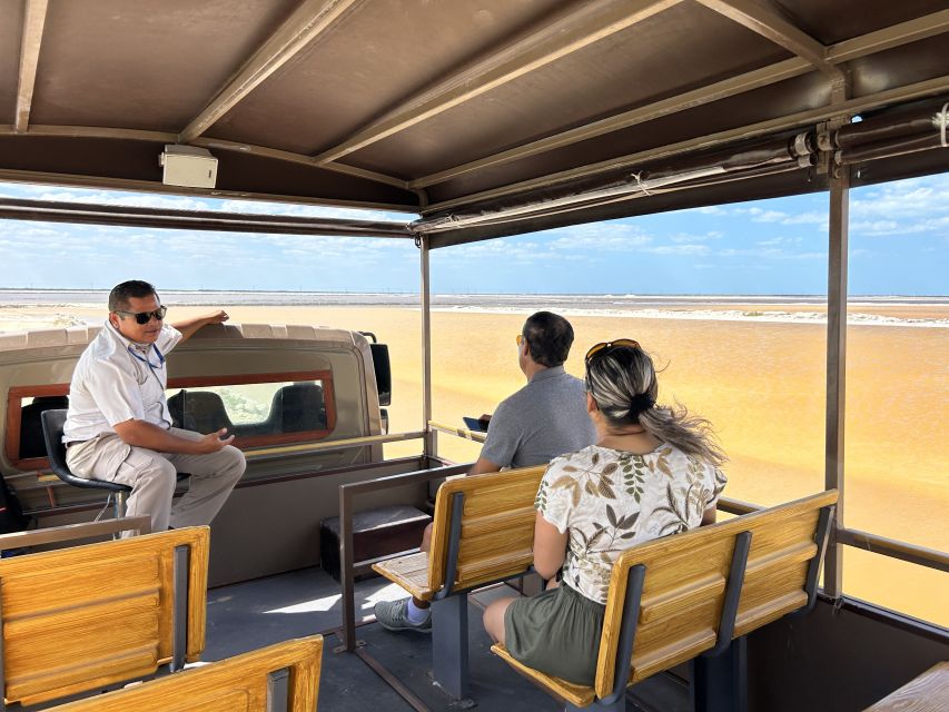 Las Coloradas: Pink Lakes Safari Tour - The salt hill that looks lunar