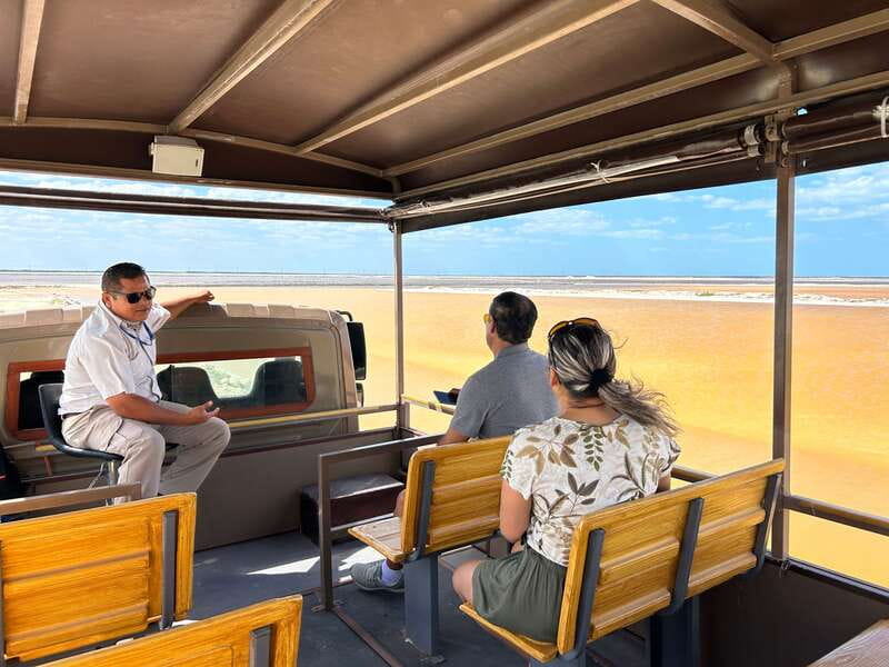 Las Coloradas: Pink Lakes Safari Tour - Wetlands, flamingos, and the Río Lagartos reserve