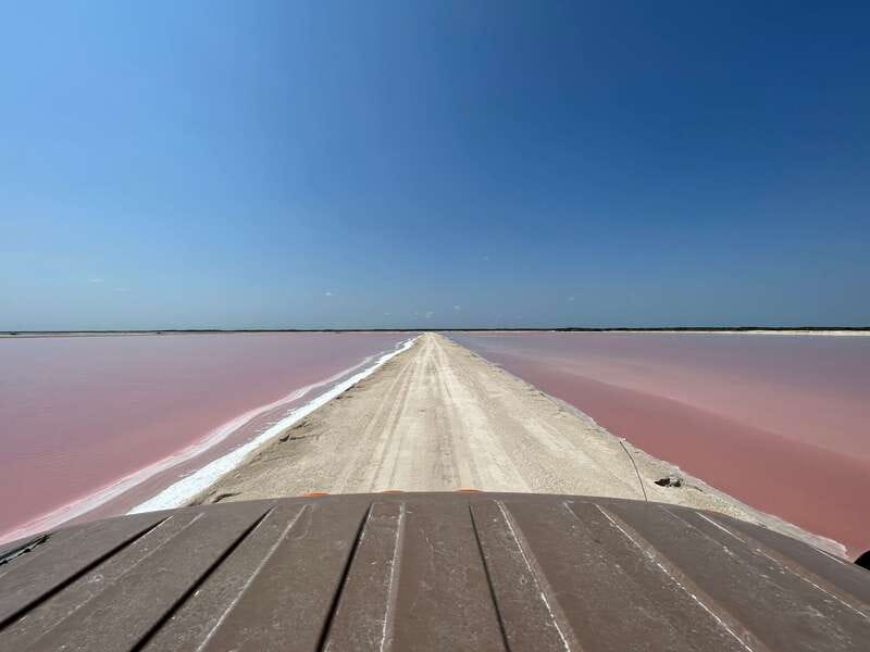 Las Coloradas: Pink Lakes Safari Tour - What the $40 price includes