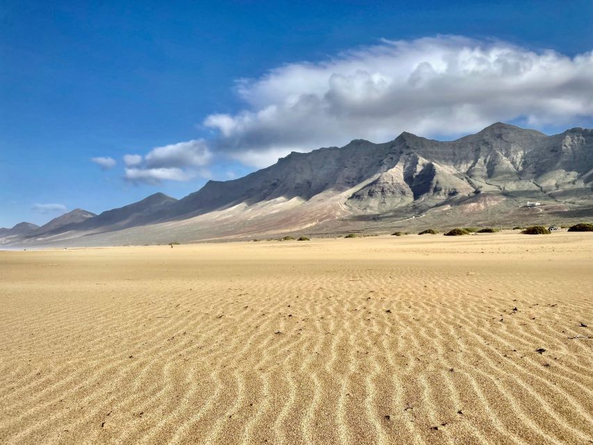 Las Palmas: Fuerteventura Cofete Beach and Desert Safari - Key points to know before booking