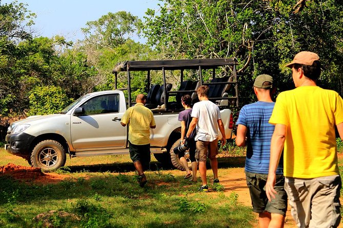 Leopard Safari Tour in Yala National Park - The guides can shape the whole day