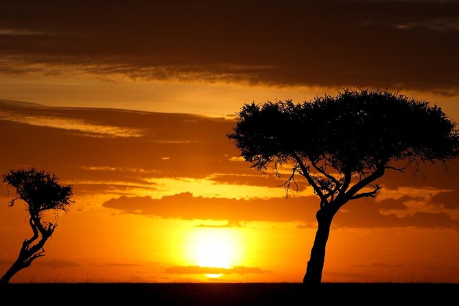 Leopard Safari Tour in Yala National Park - What you might see beyond the leopard