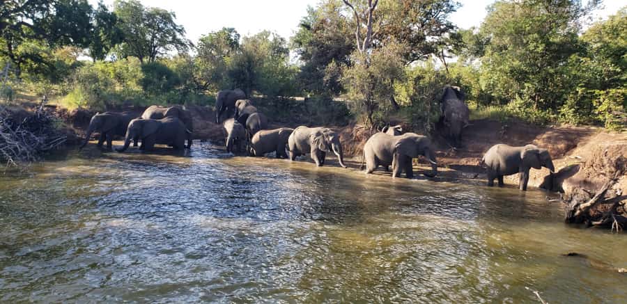 LIVINGSTONE ZAMBIA:SAFARI GAME DRIVE & RHINO WALK - Key points to know before booking