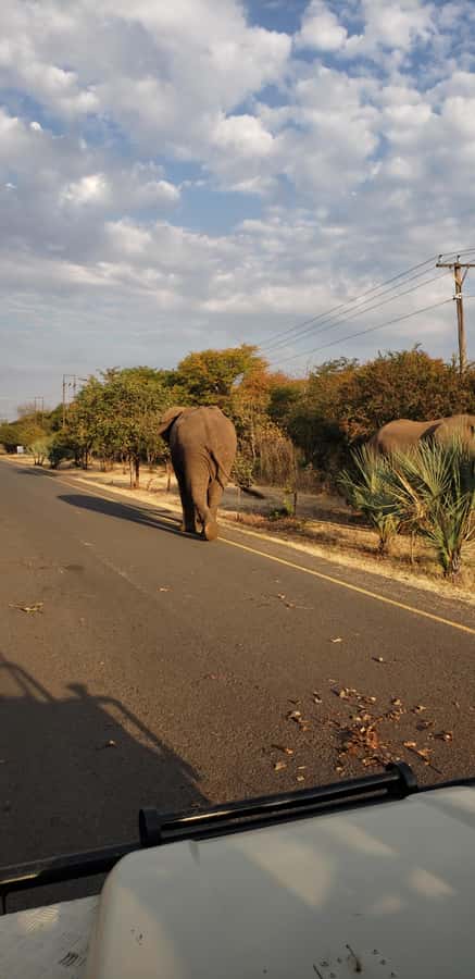 LIVINGSTONE ZAMBIA:SAFARI GAME DRIVE & RHINO WALK - Weather, clothing, and practical preparation
