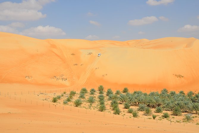 Liwa Full Day Desert Safari (exploring) - Key points to know before booking