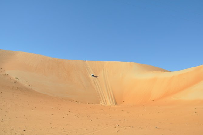 Liwa Full Day Desert Safari (exploring) - Guides make a major difference