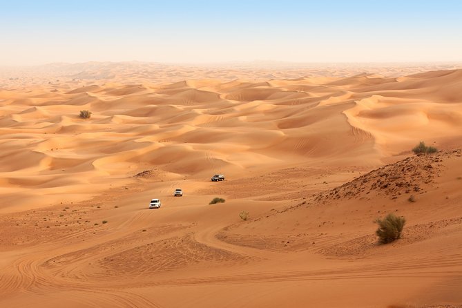 Liwa Full Day Desert Safari from Abu Dhabi - Dune bashing in the Empty Quarter