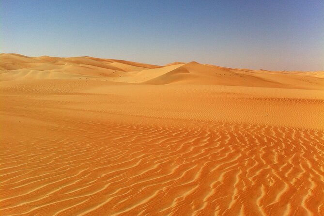 Liwa Over Night Safari - Seeing Liwa Oasis and a working camel farm