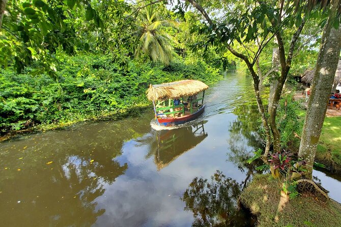 Local Excursion || Jungle Safari Excursion - Key Points to Know Before You Go