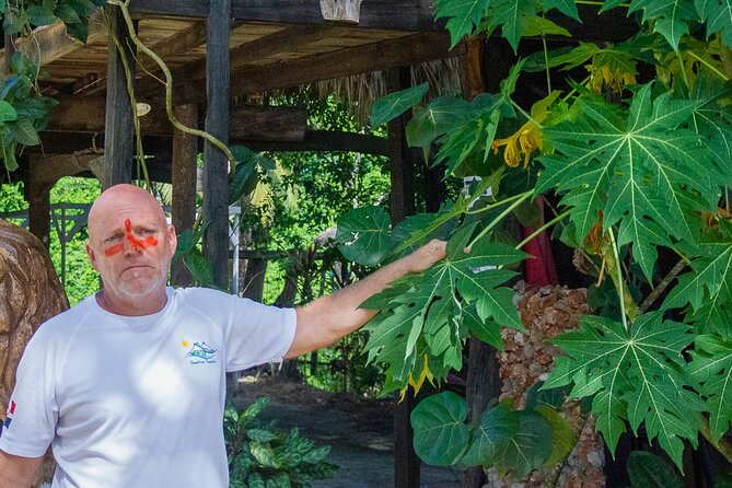 Local Excursion || Jungle Safari Excursion - La Boca, Where the River Reaches the Sea