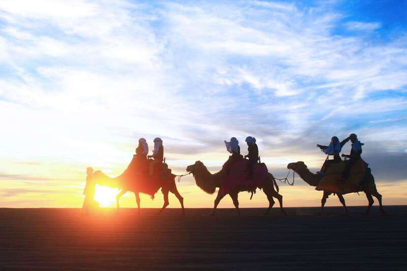 Los Cabos: Camel Ride Safari with Lunch and Tequila Tasting - Camels, surf, and Baja desert in one outing