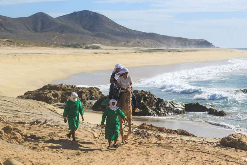 Los Cabos: Camel Ride Safari with Lunch and Tequila Tasting - Who will enjoy this experience most?