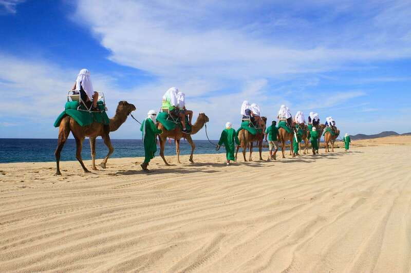 Los Cabos: Camel Ride Safari with Lunch and Tequila Tasting - What to bring and what to know