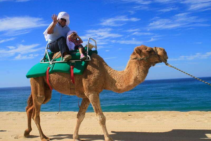 Los Cabos: Camel Ride Safari with Lunch and Tequila Tasting - Should you book the camel safari?