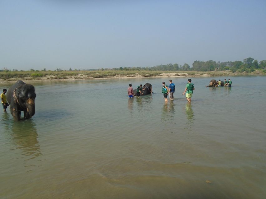 Luxury Chitwan Jungle Safari Package (2Nights/3Days) Resort - Key points to know before booking