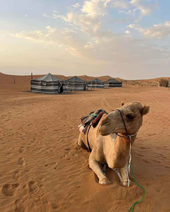 Luxury Overnight Desert Safari in Salalah - Key points to know before booking