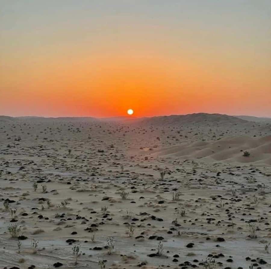 Luxury Overnight Desert Safari in Salalah - Bonfire, shisha, and a sky full of stars