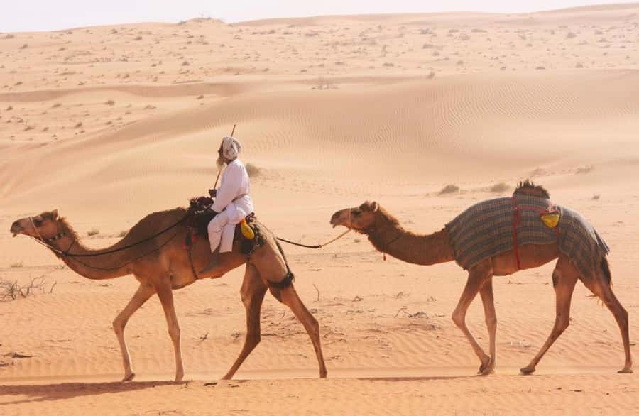 Luxury Overnight Desert Safari in Salalah - Your private tent and the cold desert morning