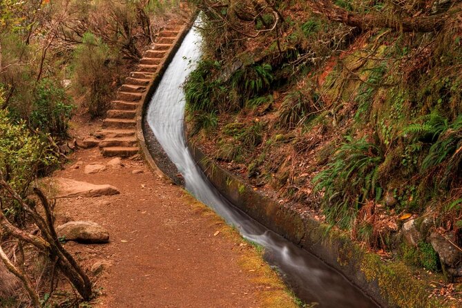 Madeira 4x4 Jeep Safari : Porto Moniz, Lava Pools & Fanal Forest - Câmara de Lobos begins the day with a bay view