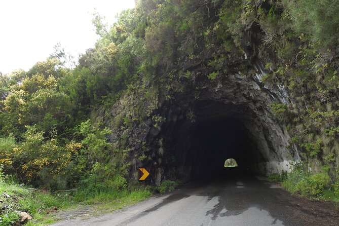 Madeira 4x4 Jeep Safari : Porto Moniz, Lava Pools & Fanal Forest - Ribeira Brava and Ponta do Sol show the farming coast