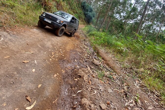 Madeira 4x4 Jeep Safari : Porto Moniz, Lava Pools & Fanal Forest - Porto Moniz is the main midday break