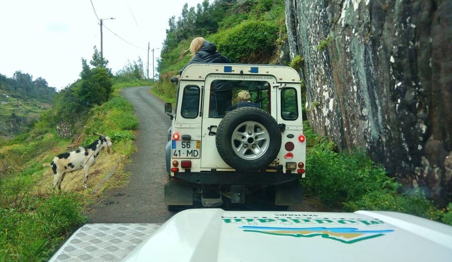 Madeira: Mini-Combo East Challenge: Jeep Safari + Levada - Key points to know before booking
