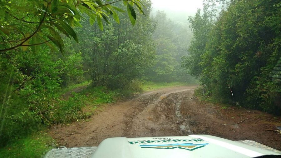 Madeira: Mini-Combo East Challenge: Jeep Safari + Levada - Camacha adds a local craft stop