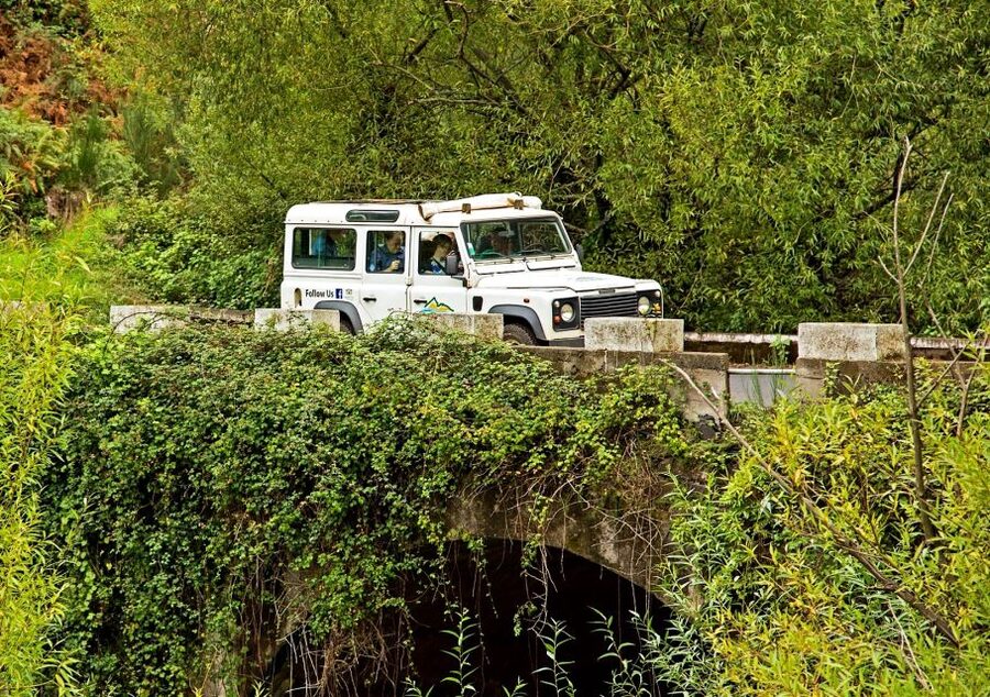 Madeira: Mini-Combo East Challenge: Jeep Safari + Levada - Morena brings a quieter side of Madeira