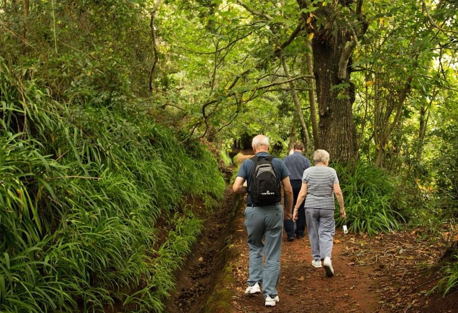 Madeira: Mini-Combo East Challenge: Jeep Safari + Levada - The levada walk is gentle by design
