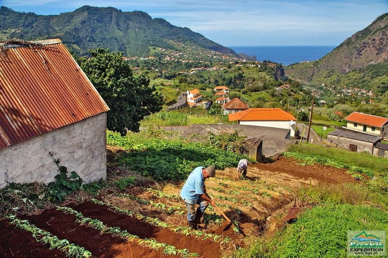 Madeira: Santana Jeep Safari and Referta Levada Walk - What to bring and who should book