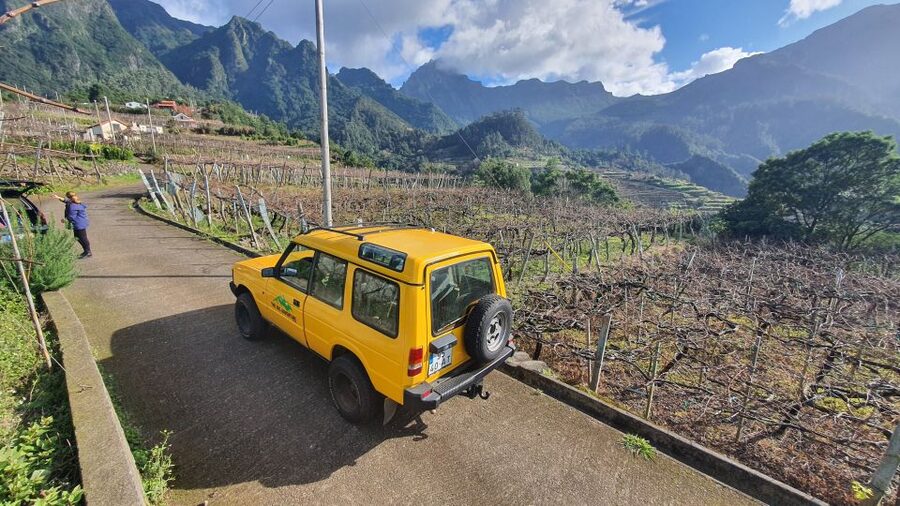 Madeira: Wine Tasting Guided Tour, Jeep Safari, & Viewpoints - Who will enjoy this Madeira tour most