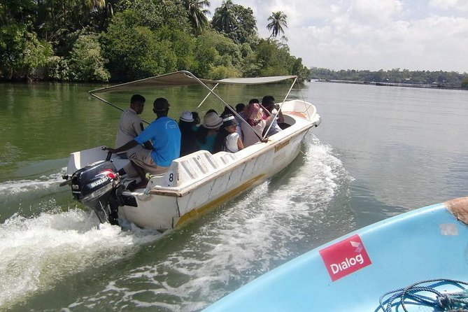 Madu River Boat Safari Balapitiya - Key points before you book