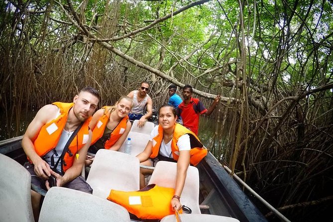 Madu River Boat Safari Balapitiya - Cruising through mangroves and islands