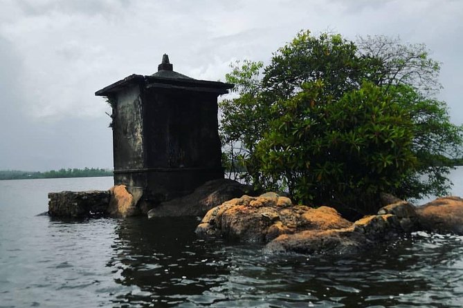 Madu River Boat Safari Balapitiya - A fish foot massage pond with a novelty factor