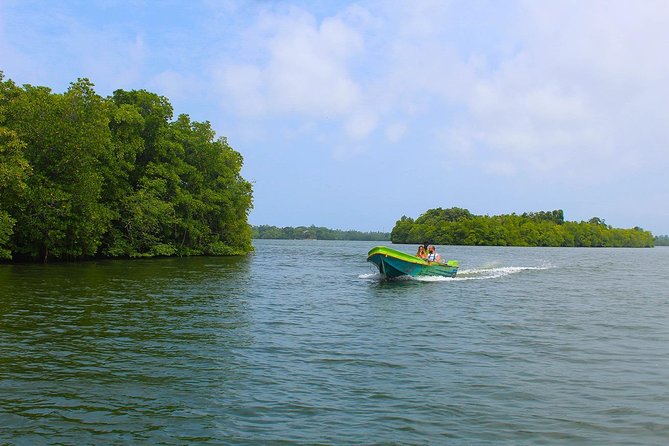 Madu River Boat Safari Balapitiya - What the $29 price really covers