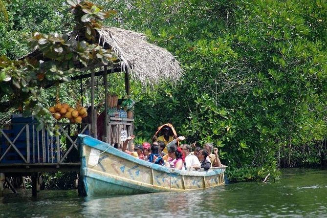 Madu River Boat Safari Balapitiya - The island temple adds a quiet cultural stop