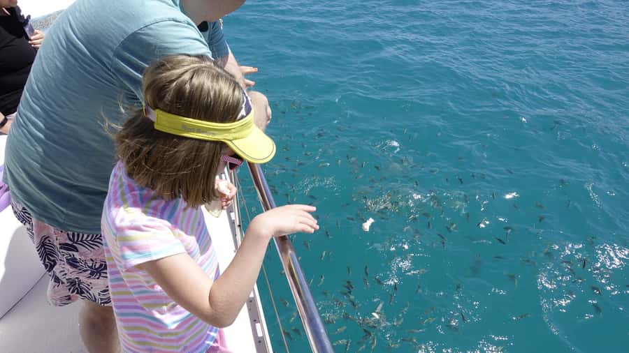 Mahe: St.Anne Marine National Park Reef Safari with Lunch - Setting sail on Anahita