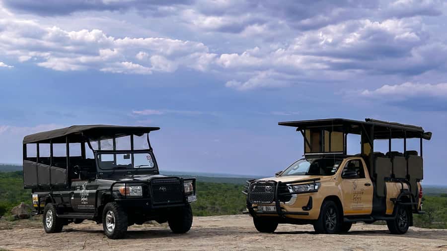 Malelane & Komatipoort: Kruger National Park Half-Day Safari - Why the early Kruger start matters