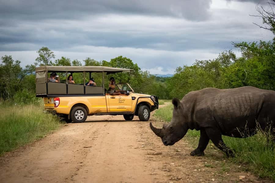 Malelane & Komatipoort: Kruger National Park Half-Day Safari - What the open vehicle adds to the drive